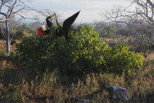 galapagos islands official tourism site