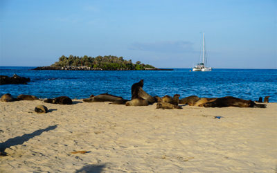 Best Galapagos Vacation