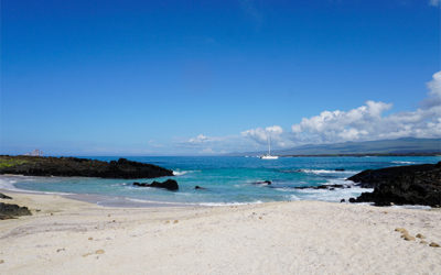 Galapagos Holiday Deals 2023