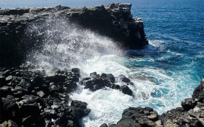 Galapagos Islands Trip Reviews