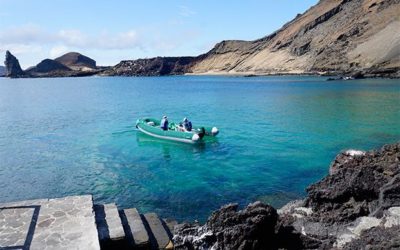 Top Things to do in Isabela Galapagos