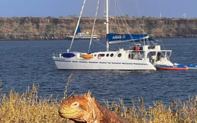 Complete Guide to Your Galápagos Cruise Island Adventure