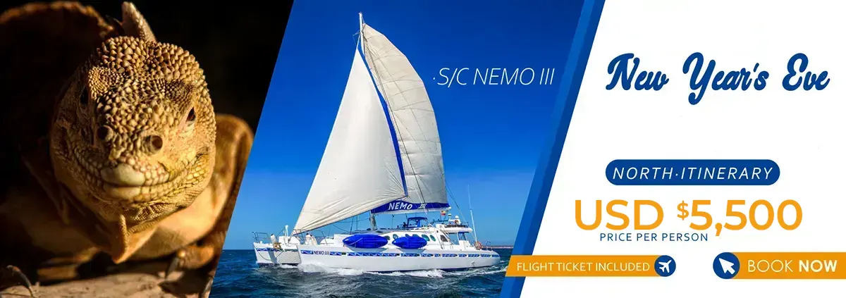 Christmas & New Year`s Eve aboard Nemo III Galapagos Cruise