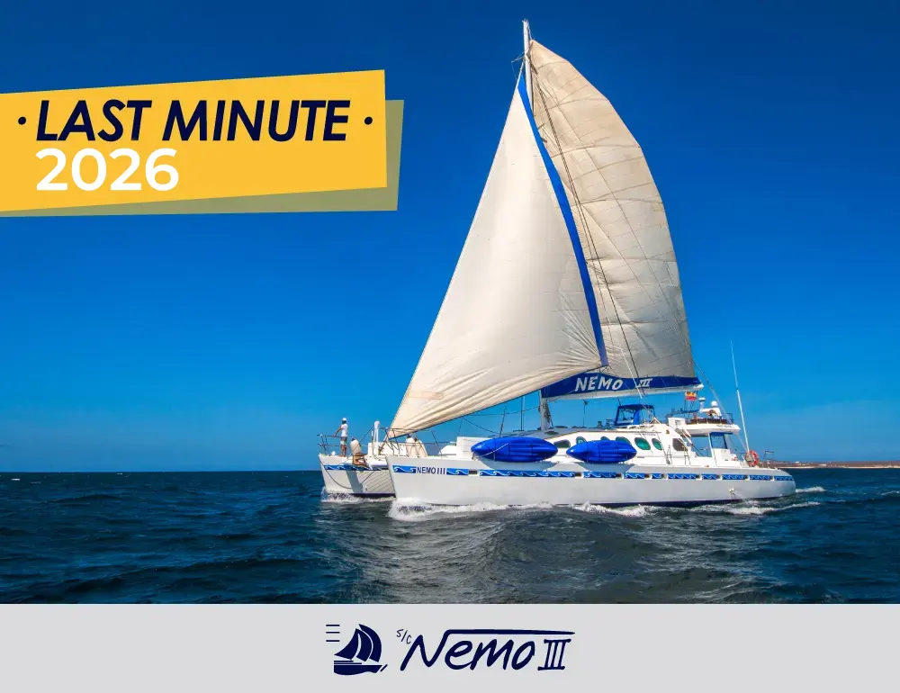 Nemo III Galapagos Cruises Last Minute 2026