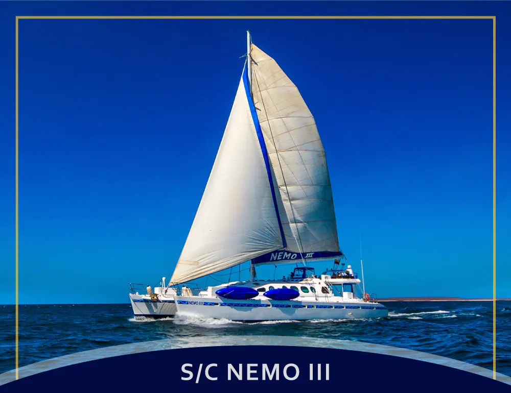 Nemo III Galapagos Cruises Pre-Booking 2025