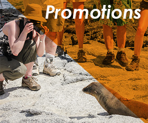 Galapagos Cruises Promotions